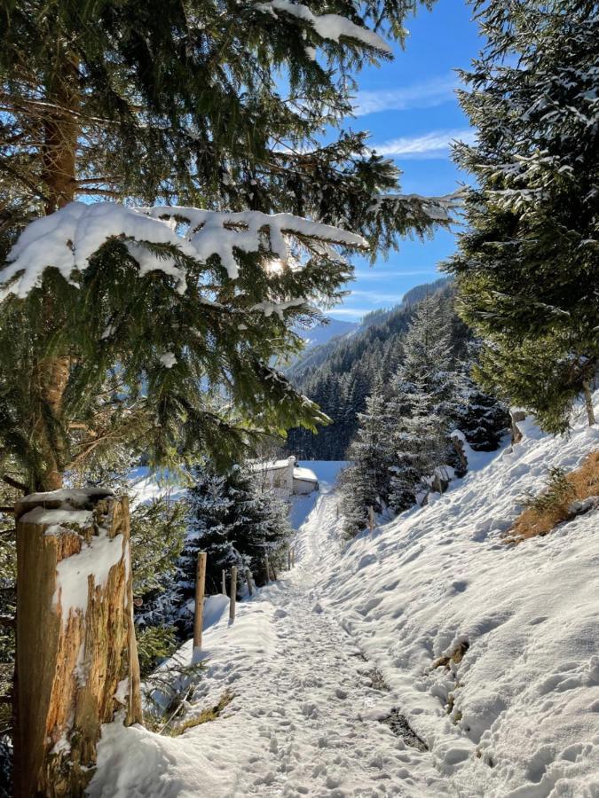 Tux Mountain Apart Εξωτερικό φωτογραφία